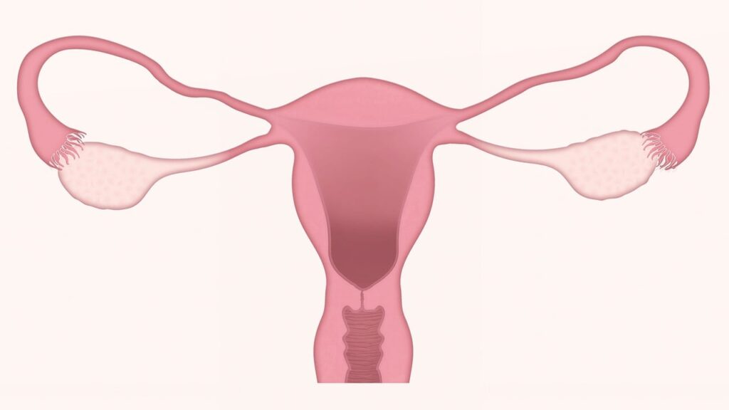 Mulher 50+ vivendo bem na menopausa com autocuidado